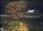 dailyPhoto39